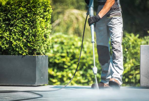 Best Fence Cleaning  in Cape Canaveral, FL