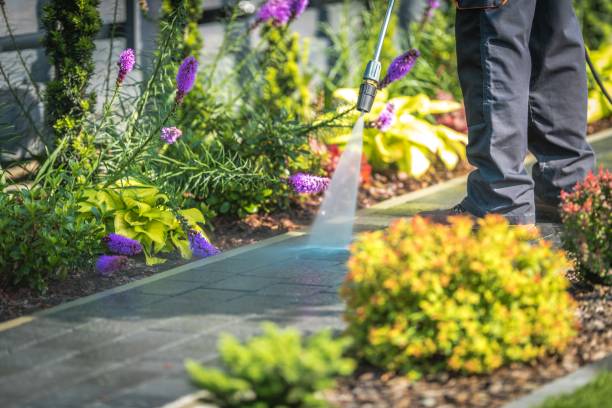Best Sidewalk and Walkway Cleaning  in Cape Canaveral, FL